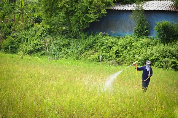 AZ ALKALMI MUNKAVÁLLALÓK LÉTSZÁMA